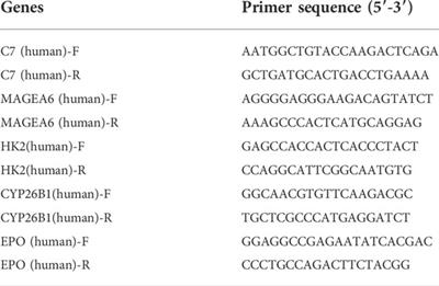 A novel cuproptosis-related prognostic signature and potential value in HCC immunotherapy